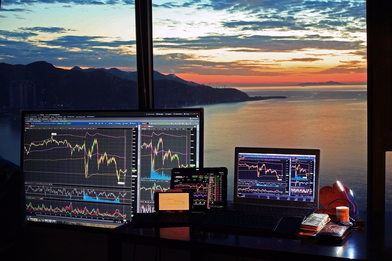 eToro ou ZenGo : quel choix pour vos investissements en crypto ?