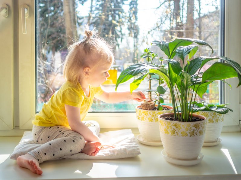 enfant joue avec pots de fleurs