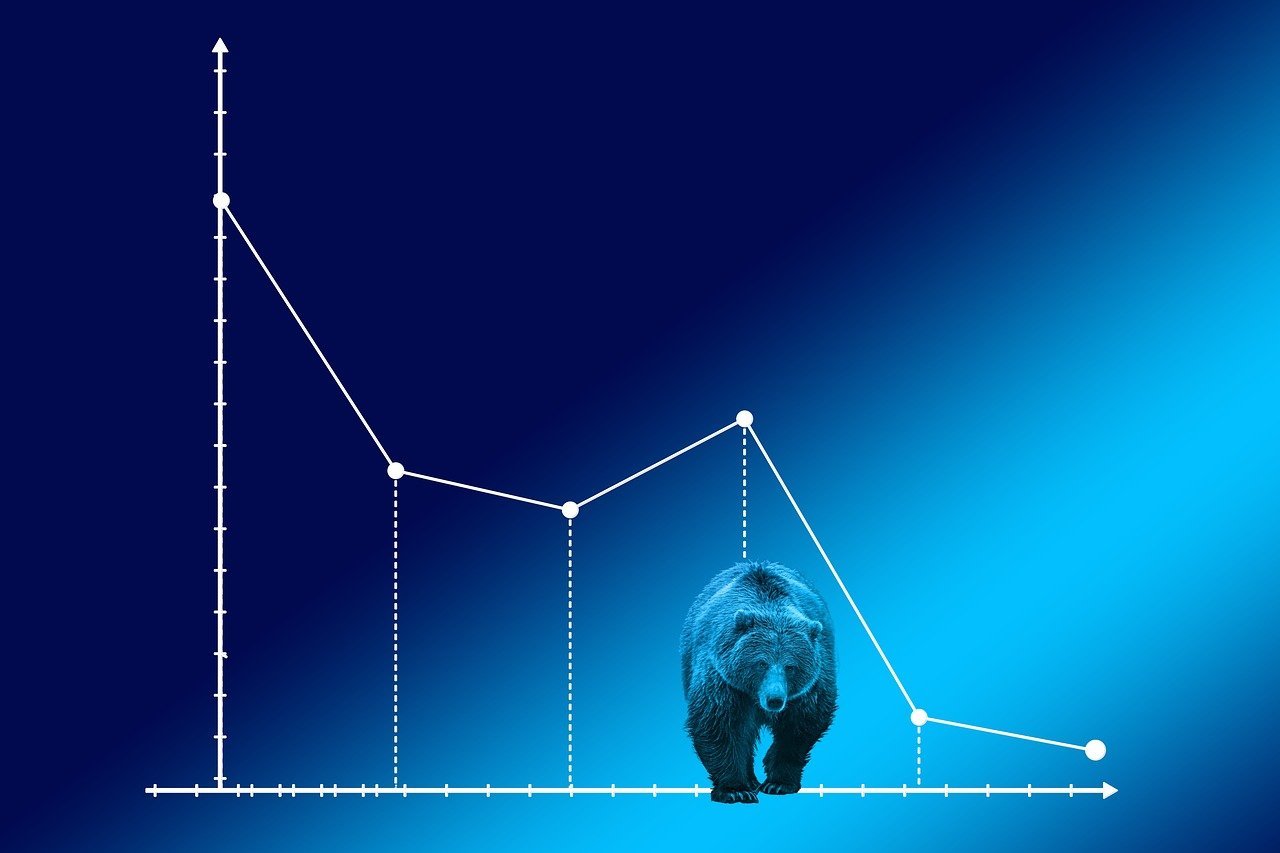 C&rsquo;est quoi un bear market ?
