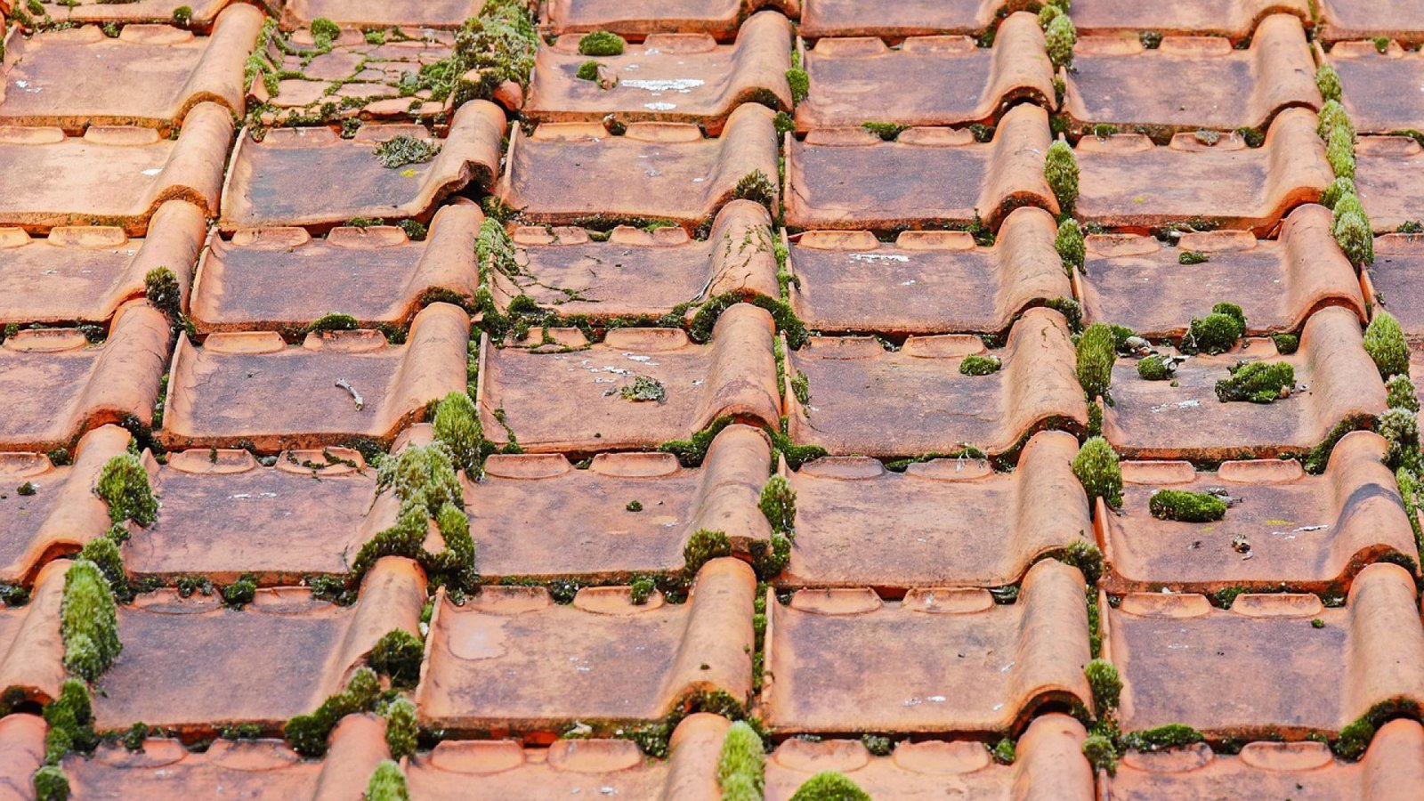 Les travaux de toiture sont indispensables