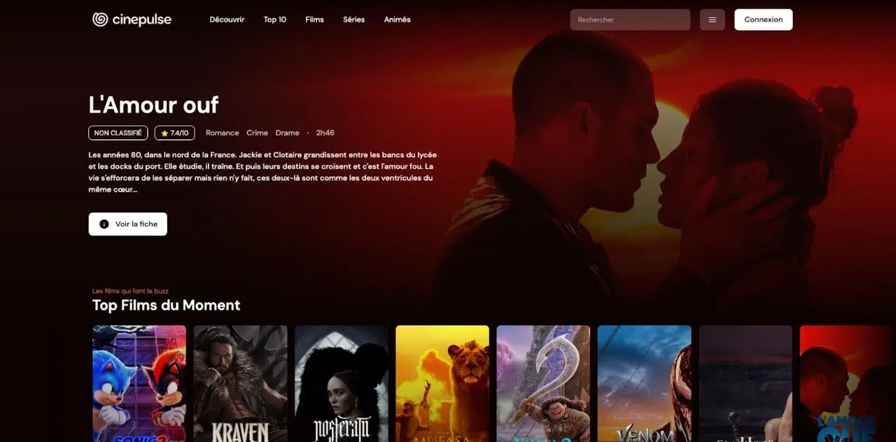 Cinepulse : plateforme de streaming gratuit aux enjeux complexes