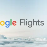 google flight