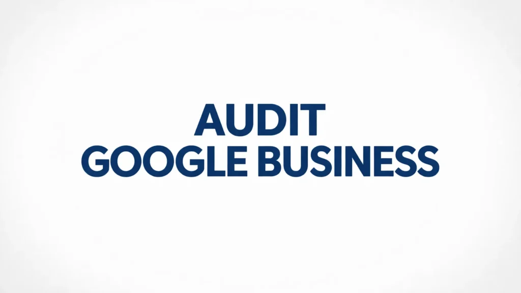 audit google business