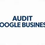 audit google business